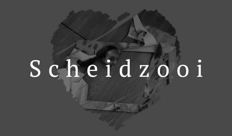 Scheidzooi
